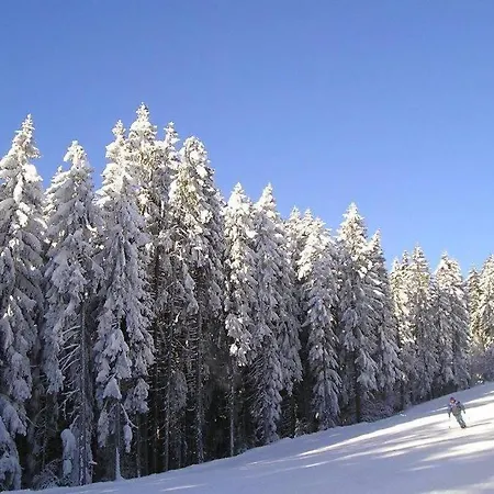 By Haus Ingrid דירה *