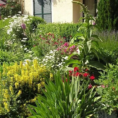 By Haus Ingrid Apartmán