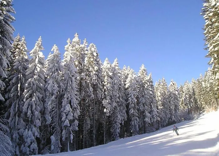 By Haus Ingrid Apartment *